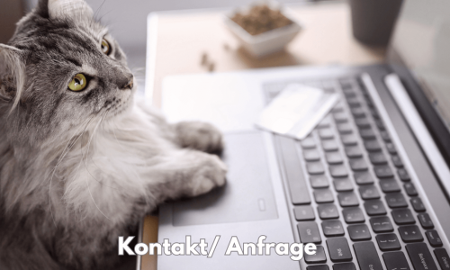 Kontakt Anfrage